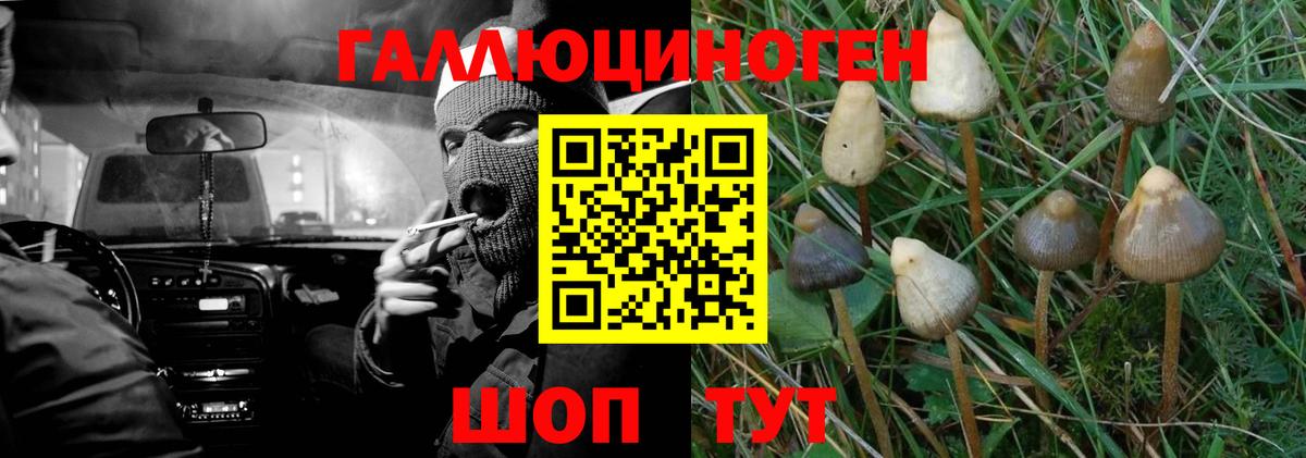 Прокопьевск  Вход с VPN  Каннабис  COCAIN  NBOMe  Меф МЯУ МЯУ   ГАШ  LSD-25 