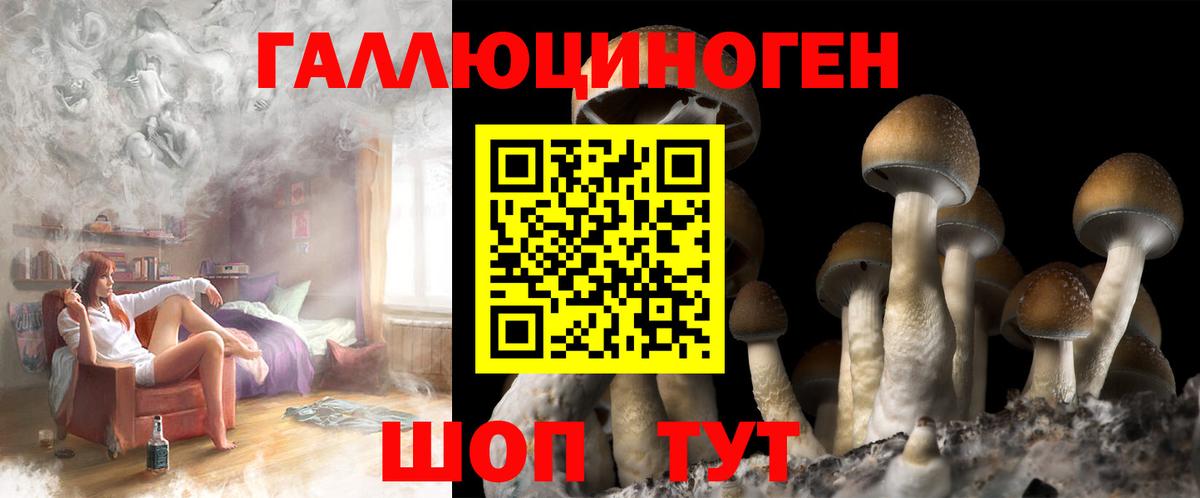 Псилоцибиновые грибы ЛСД Прокопьевск