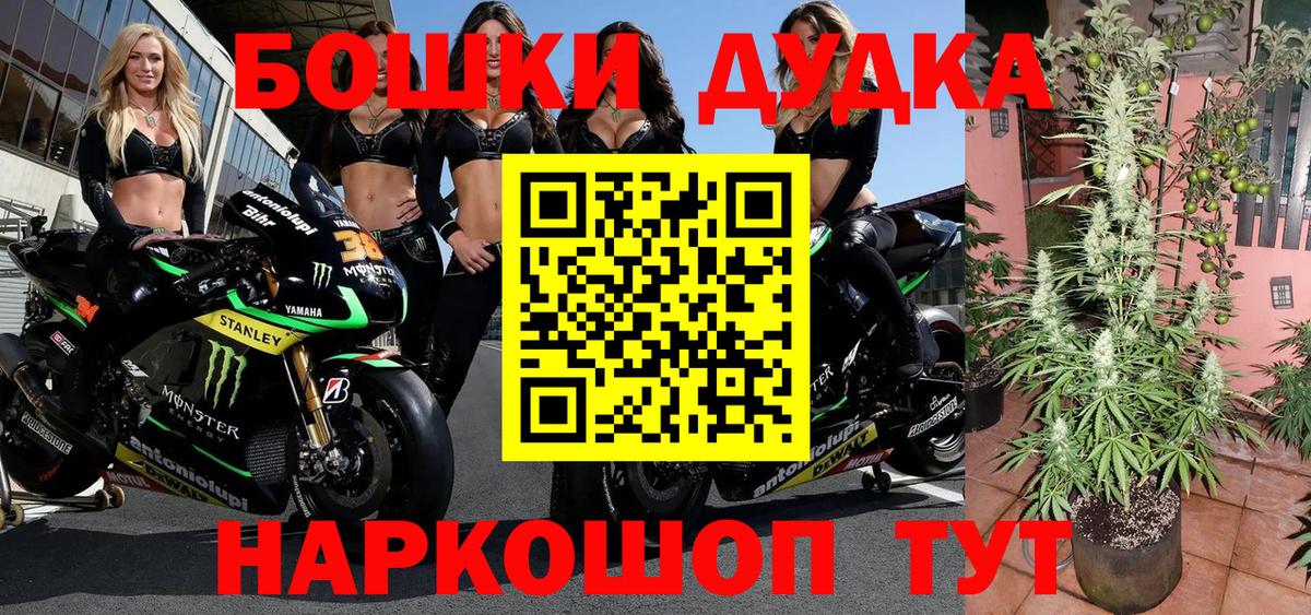 Шишки марихуана OG Kush  Канабис план  Прокопьевск  Вход с VPN 